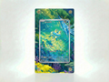 Froakie (Chaos Rising) 088/086